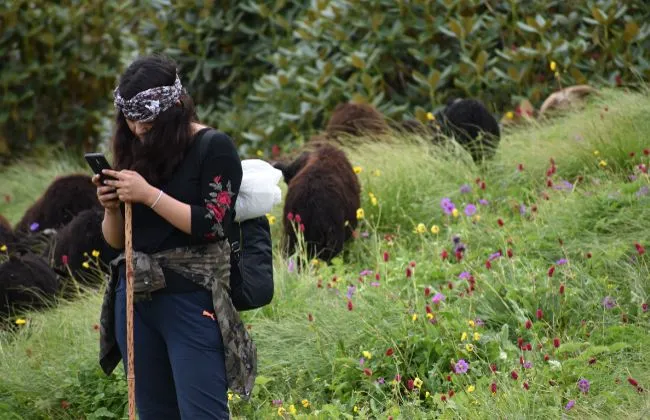 Pilgrim Guest Image 26